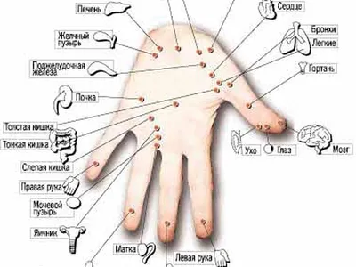 Су-джок терапия для развития ребенка! — 