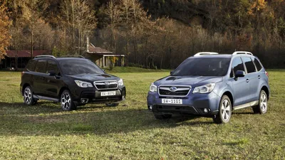 russian по низкой цене! russian с фотографиями, картинки на задний спойлер subaru  forester изображения.