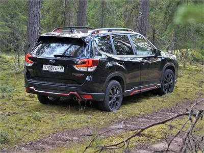 Представлен абсолютно новый Subaru Forester с полным приводом :: Autonews