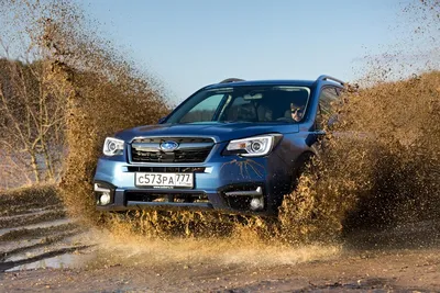 Представлен абсолютно новый Subaru Forester с полным приводом :: Autonews