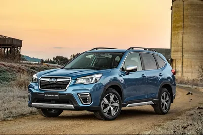 Фото Subaru Forester - фотографии Субару Форестер