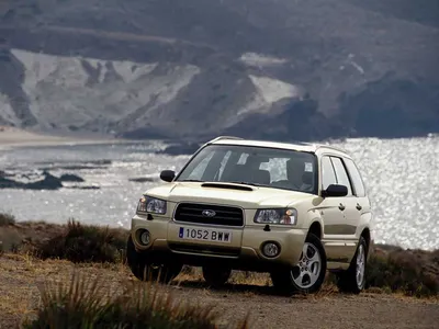 2019 Subaru Forester VIN: JF2SKACC7KH491428 из США - PLC Group