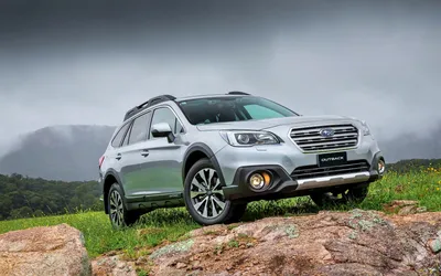 День Тестдрайва Subaru Outback 2018 — стоковые фотографии и другие картинки  Буш - Буш, Автомобиль, Без людей - iStock