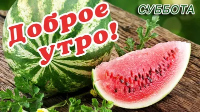 Картинка: Доброго утра субботы!