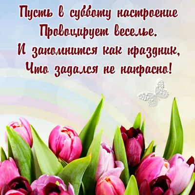 Картинки с пожеланиями: «Хорошего субботнего дня!» | Открытки, Картинки,  Субботы