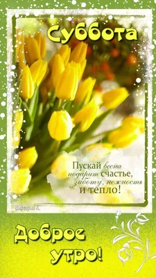 Доброе утро Суббота прикольные (Новые 38 фото) картинки смешные для  поднятия настроения - АуФФ