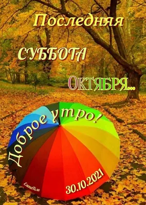 ПРИВЕТСТВИЯ и ПОЖЕЛАНИЯ, открытки на каждый день. опубликовал пост от 30  октября 2021 в  | Фотострана | Пост №2390066933