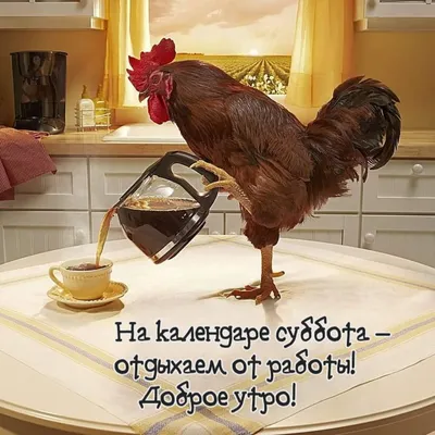 Вот и суббота! Отдыхаем.