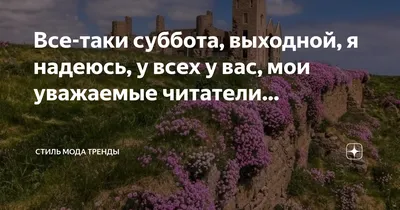 Суббота выходной смешные картинки - 39 шт