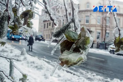 Суббота, 29 декабря: зима, похожая на осень / Статья