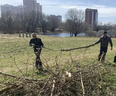 В Конаковском районе прошёл субботник на берегу Донховки | официальный сайт  «Тверские ведомости»