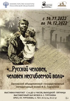 Судьба человека Шолохов М.А. серия Военное детство Детская литература Книги  о войне для детей | Шолохов Михаил Александрович - купить с доставкой по  выгодным ценам в интернет-магазине OZON (760765223)