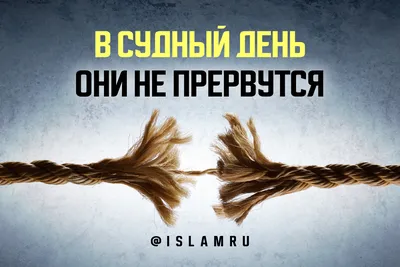 Книга Кэхиллы против Весперов 6, Судный день - купить детской  художественной литературы в интернет-магазинах, цены на Мегамаркет | 175662