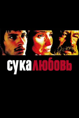 Сука Любовь - Single – Album von Амир Аскаров – Apple Music