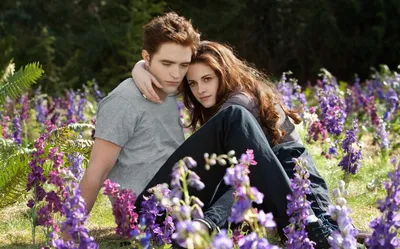 Сумерки.Сага. Затмение. / The Twilight Saga: Eclipse (2010, фильм) -  «Любовные треугольники и отсутствие сюжета. Как непостоянство главной  героини стало более значимой частью сюжета, чем её безопасность и жизнь» |  отзывы