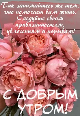 Осень... Доброе утро! Картинки со словами и стихами красивые - С добрым  утром! Хорошего дня и вечера! осенние… | Позитивные цитаты, Доброе утро,  Вдохновляющие фразы