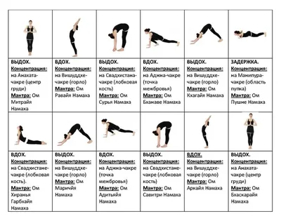 Сурья Намаскар Йога: преимущества, как делать, последовательность, позы