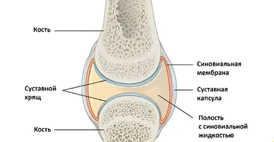 Артроз суставов: степени, лечение