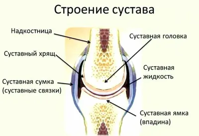 МРТ суставов в Киеве — цена 1200 грн. 1,5 тесла | МРТ суставов с контрастом