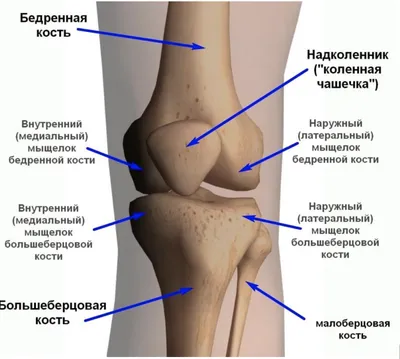 Лечение заболеваний суставов в Крыму методом кинезиотерапии - "Здоровье  Нации"