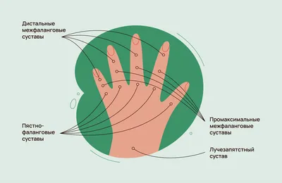 Биомеханика коленного сустава. Статьи