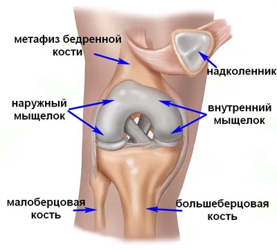 Почему же болят суставы?