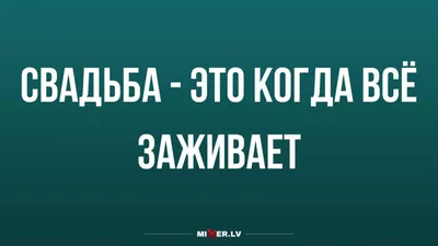 Пригласила бывшего на свадьбу | Пикабу