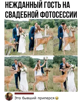 Свадебный фотограф Юрій Якимець. Смешные свадебные фото. Юмор - Свадьба.ПРО