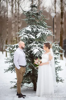 Зимняя свадьба | Snow wedding, Winter wedding photos, Snow wedding pictures