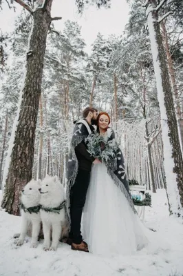 Свадьба зимой I Свадьба в холодное время года