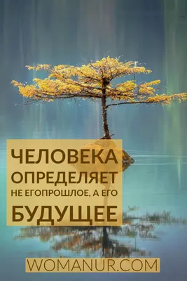 Футболка За тобой светлое будущее - Отойди