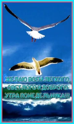 Доброго утра, ясного, Светлого, прекрасного, Солнышка лучистого, Неба —  голубого, чистого! Позитивного настроения, Радости, вдохновения, Желаю я  вам улыбаться, Утром добрым наслаждаться! - Лента новостей Мелитополя