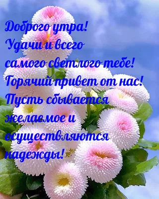 Картинки с надписями. Доброго утра! Удачи и всего самого светлого тебе!.