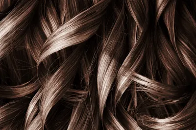 Влияние цвета волос на восприятие внешности: Темный для выделения, светлый  для излучения | Салон красоты Wella Элиза | Дзен