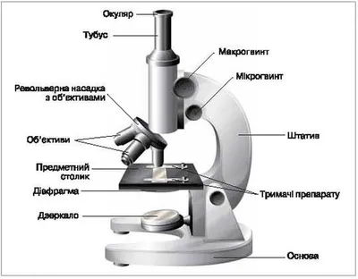 Купить Монокулярный оптический микроскоп 64X-2400X для детей начальной  школы, научная экспериментальная биология | Joom