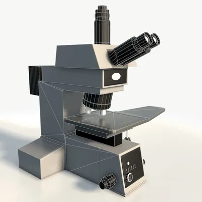 Устройство светового микроскопа - Устройство светового микроскопа  Устройство светового микроскопа С - Studocu