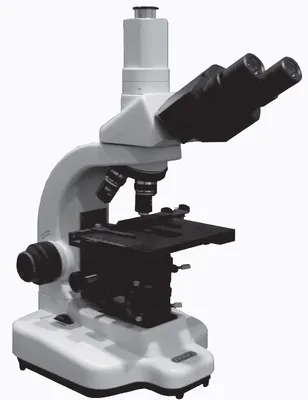 Монокулярный оптический микроскоп, 64X-2400X, инструменты для обучения  экспериментальной б - купить в интернет-магазинах, цены на Мегамаркет |  микроскопы