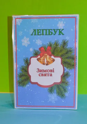 Новорічні свята у закладах освіти проводитимуть без батьків та аніматорів |  Центральноукраїнське бюро новин (CBN)