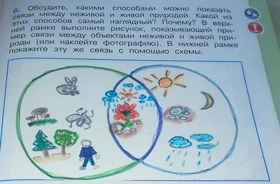 Мир природы и человека. 1 класс. Учебник. В 2 ч. Часть 1 (для обучающихся с  интеллектуальными нарушениями) купить на сайте группы компаний «Просвещение»