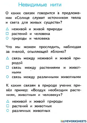 Картинки связь между живой и неживой природой (67 фото) » Картинки и  статусы про окружающий мир вокруг