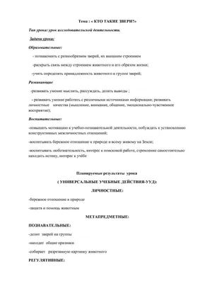 Синергизм как фактор устойчивого развития торговой сети – тема научной  статьи по экономике и бизнесу читайте бесплатно текст  научно-исследовательской работы в электронной библиотеке КиберЛенинка