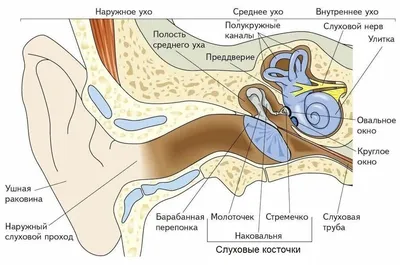 Картинки невидимые нити окружающий мир (68 фото) » Картинки и статусы про  окружающий мир вокруг