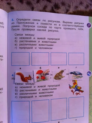 Волк зайцу не товарищ? 15 примеров необычной дружбы между животными - фото  - , Sputnik Казахстан