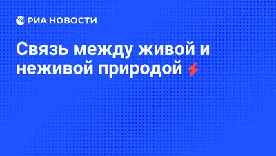 Связь между живой и неживой природой - РИА Новости, 