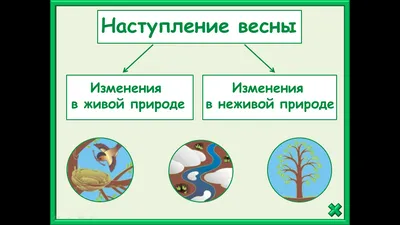 стрелками покажи связи между живой и не живой природой. - Школьные  Знания.com