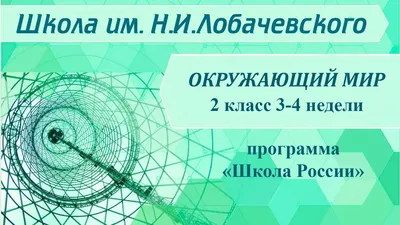 Связь между живой и неживой природой #58