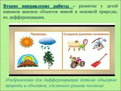 Ознакомление детей дошкольного возраста с живой и неживой природой» (9  фото). Воспитателям детских садов, школьным учителям и педагогам - Маам.ру