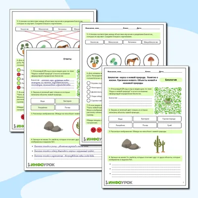 окр мир 3 класс конспекты уроков | PDF