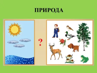 Облако знаний. Связи в природной зоне. Окружающий мир. 4 класс