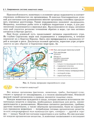 Иллюстрация 2 из 20 для Биология. Живые организмы. Животные. 7 класс.  Учебник - Суматохин, Трайтак | Лабиринт -